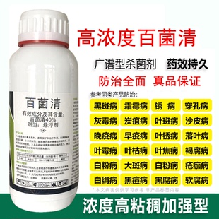 40%百菌清果树蔬菜花卉月季番茄早疫炭疽白粉叶斑霜霉病农药杀菌