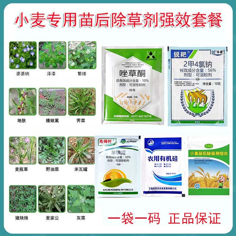小麦田苗后专用除草剂苯磺隆二甲四氯钠双氟磺草胺唑草酮封闭农药