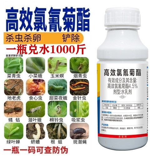 高效氯氰菊酯乳油迟眼蕈蚊专用