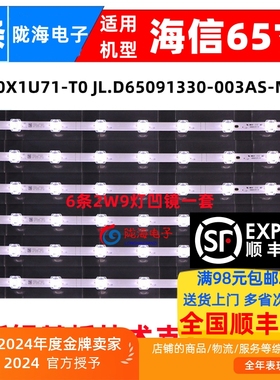 适用海信HZ65A55E 65A52E HZ65E3D HZ65A56E HZ65A59E HZ65A57E灯