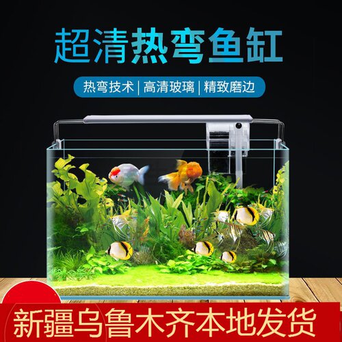 小型鱼缸桌面热弯生态水族箱