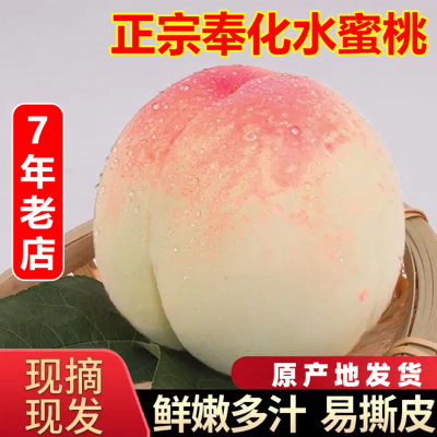 奉化水蜜桃新鲜水果礼盒装正宗宁波特产应当季软桃子湖景玉露白凤