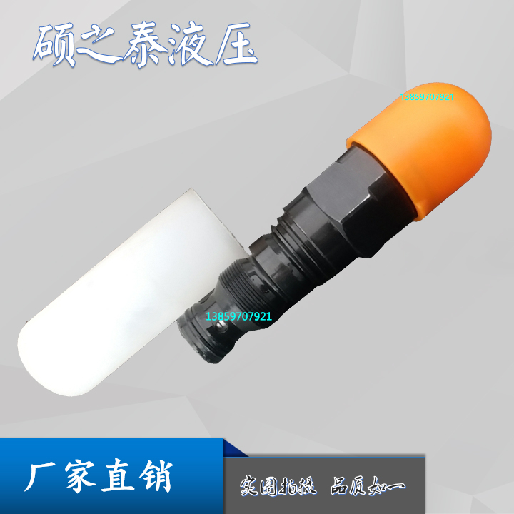 上海立新DB6K1-L4X/31.5Y插装式溢流阀DB10K2-L4X/20Y DB20K1-L1X