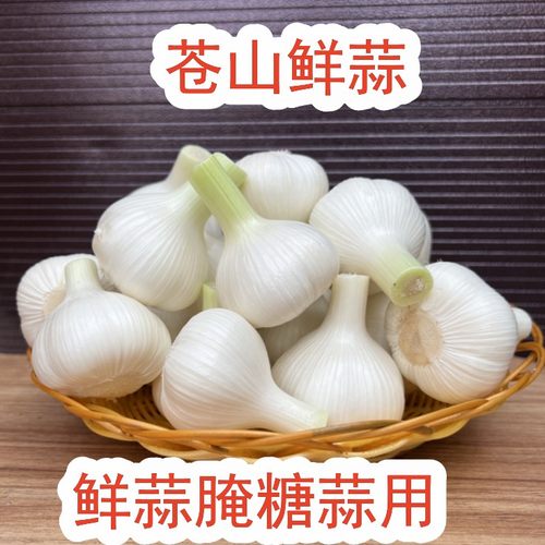 山东苍山白皮鲜蒜腌制湿蒜