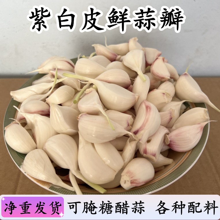 鲜蒜瓣湿蒜瓣腌糖蒜用新鲜蒜带皮大蒜