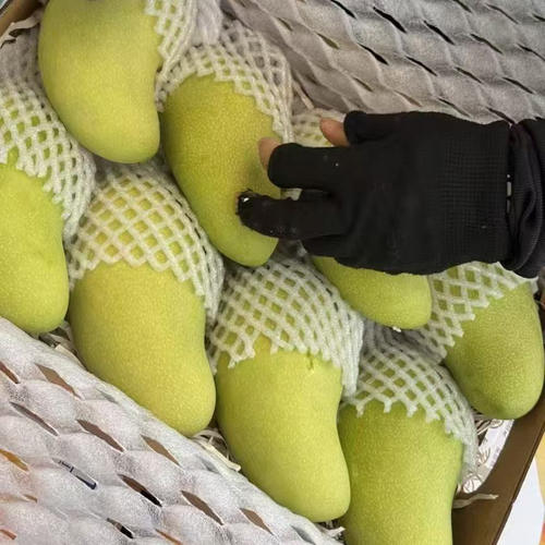 海南金煌芒果高端礼盒