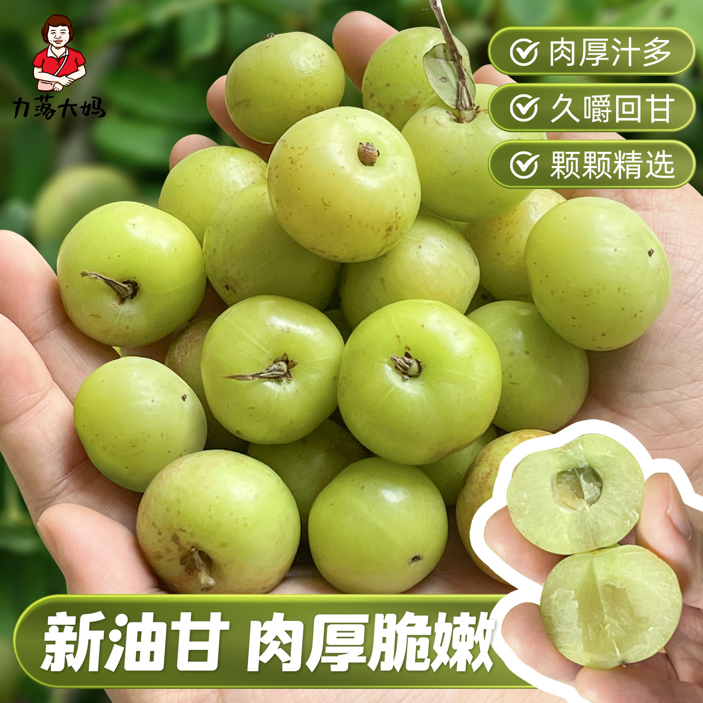 潮汕大妈新油甘果崩坎油甘新鲜油柑果牛甘果余甘果滇橄榄柿饼油柑