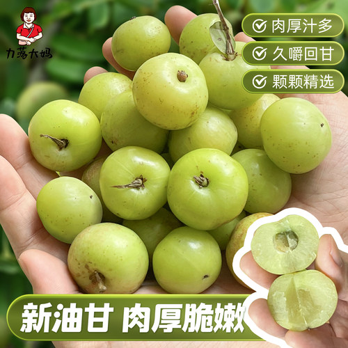 潮汕大妈新油甘果崩坎油甘新鲜油柑果牛甘果余甘果滇橄榄柿饼油柑