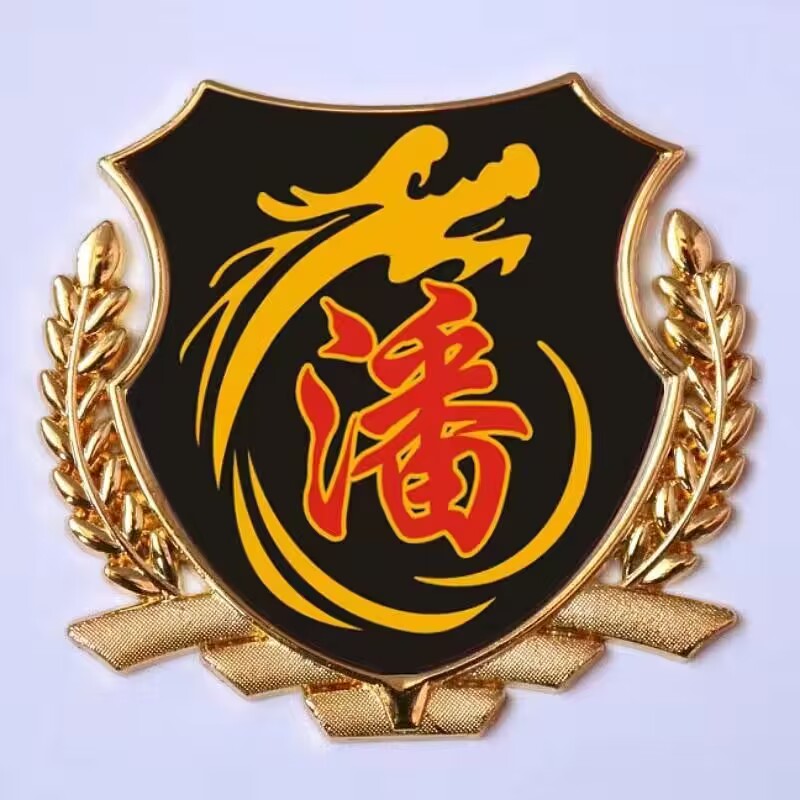 汽车百家姓车贴 潘氏侧标立体金属贴 潘姓文字尾标贴车窗油箱盖贴