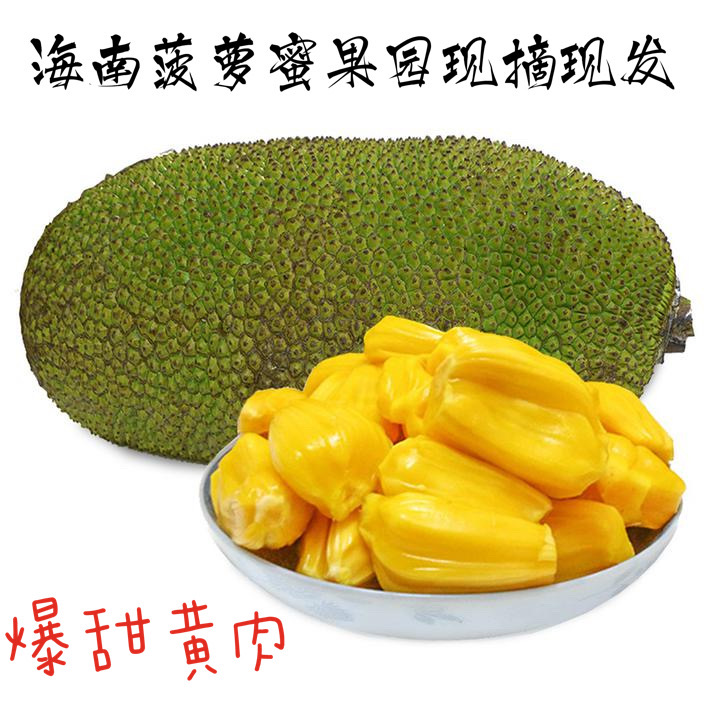 海南三亚黄肉菠萝蜜新鲜水果整箱假榴莲整个木波罗蜜孕妇水果