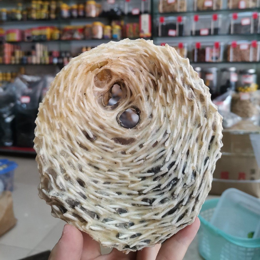 深海刺猬鱼皮刺龟皮刺豚干天然养胃洋肝海味干货鲜甜暖胃厚肉包邮