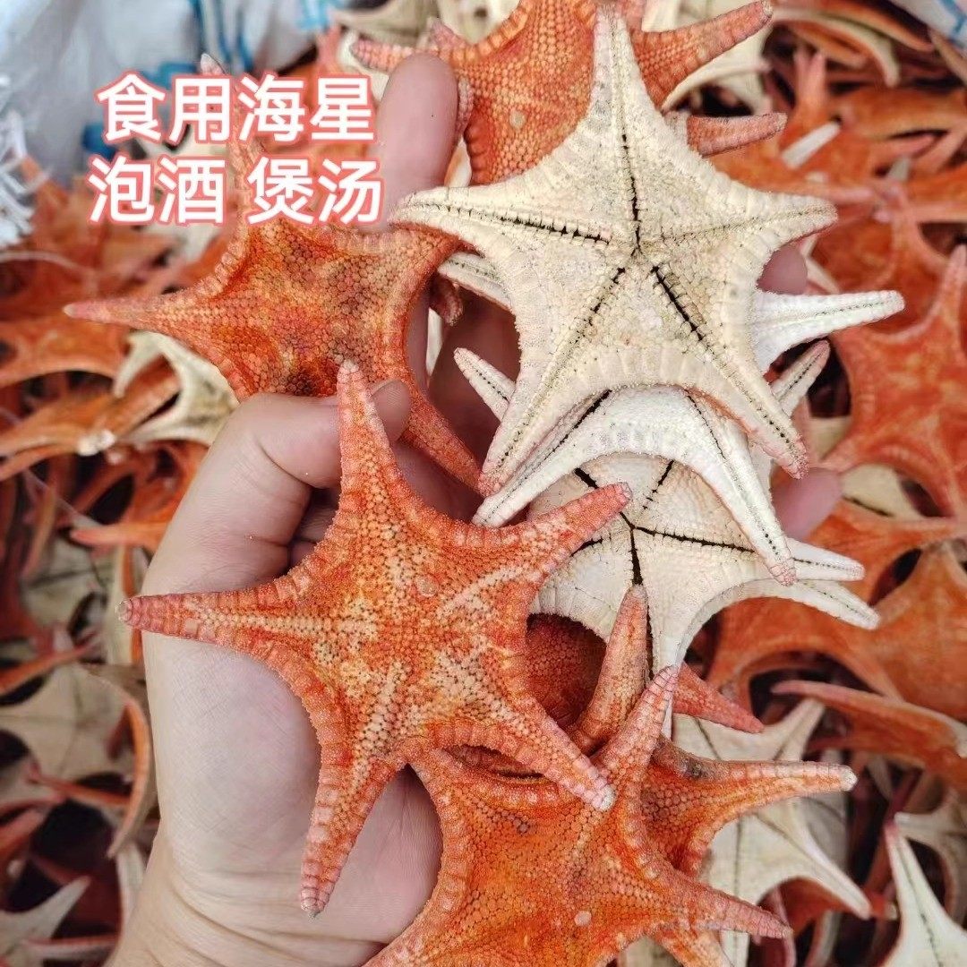 渔民自晒海星干货500g天然无硫海盘车五角星海星泡酒滋补煲汤鲜美