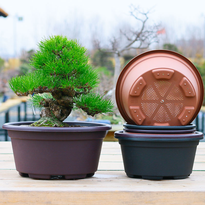 五针松加厚树脂圆形仿紫砂花盆