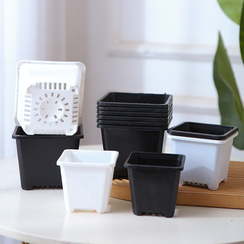 方形花盆多肉植物盆景天绿植花盆盆景种植盆简约塑料植物花盆包邮