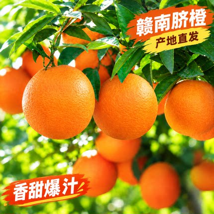 正宗赣南脐橙10斤新鲜应季香甜多汁现摘橙子时令水果产地现发包邮