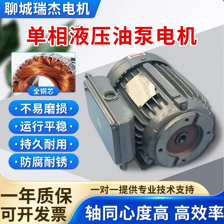 液压电机 单相220V台款0.75/1.5/2.2KW VP20油泵专用 内轴电动机图片