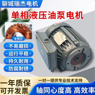 液压电机 单相220V台款0.75/1.5/2.2KW VP20油泵专用 内轴电动机