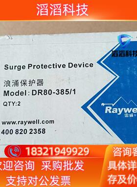 现货RAYWELL 单相防雷器 DR80－3851   4