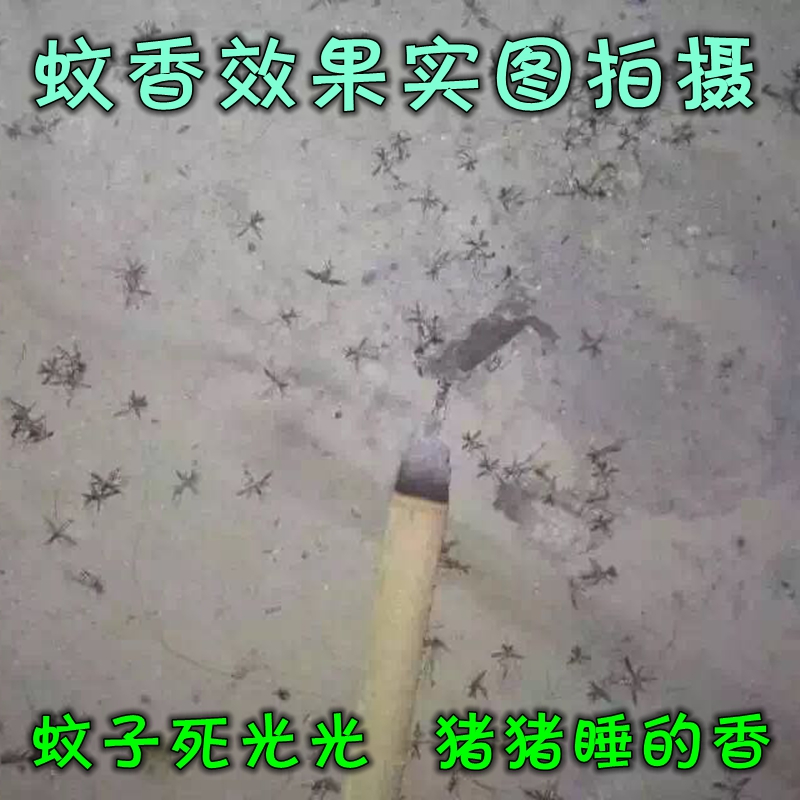 艾叶新款畜牧整箱户外猪场兽用蚊香棒养殖场专用家用驱蚊无毒猪用 畜牧/养殖物资 养殖场蚊香棒/蝇香 原图主图