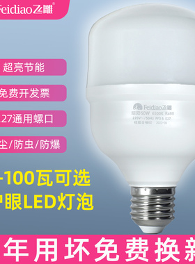 飞雕家用led节能灯泡e27螺口超亮大功率工厂仓库物业照明防水球泡