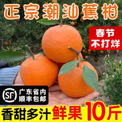 潮州柑潮州焦柑蕉柑顺丰包邮潮汕老柑拜神柑新年柑橘拜年柑橘大吉