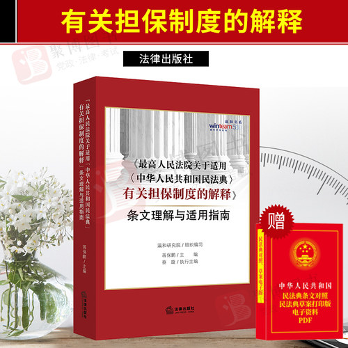 2021书 最高人民法院关于适用中华人民共和国民法典有关担保制度的解释条文理解与适用指南 民法典担保制度解释解读案例法律书籍