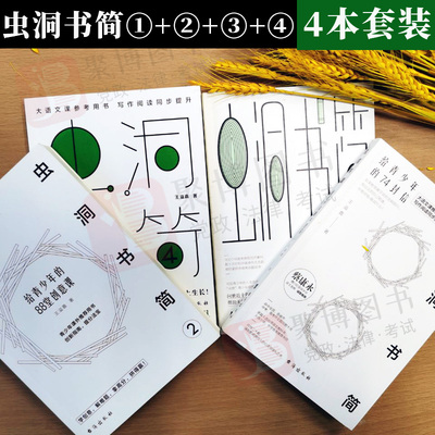 套装虫洞书简1-4全4册 王溢嘉 给青少年中考高考作文参考书 中学生写作技巧作文制胜 儿童青少年心理学入门 读懂孩子的心家庭教育