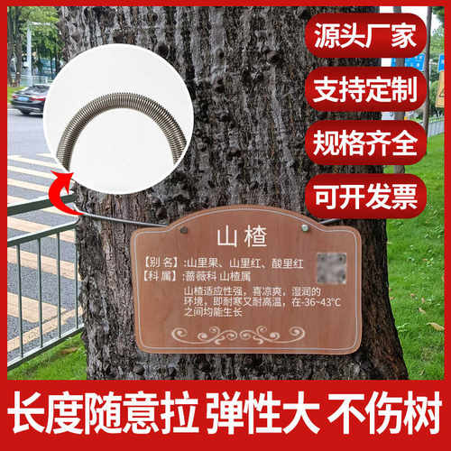 不伤树绑树拉簧不锈钢绑树弹簧