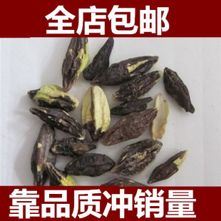 使君子 中药材使君子仁 留求子 使君子肉 索子果 史君子 五棱子