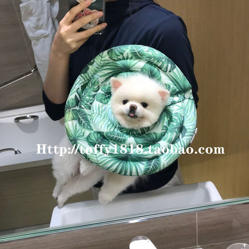 BeartoffyPet宠物猫狗伊丽莎白圈项圈脖圈软布头套皮肤病防添抓咬