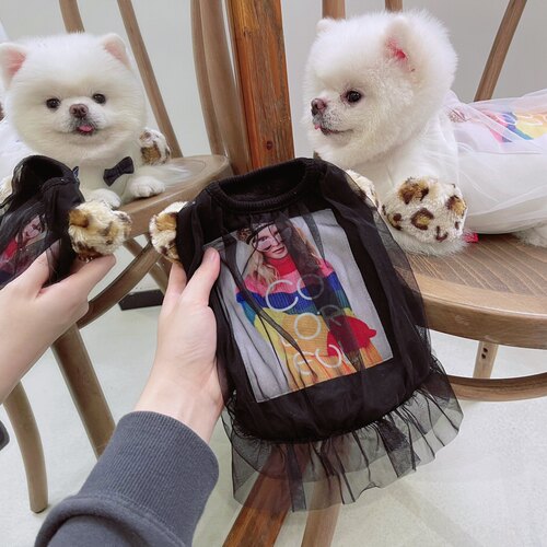 beartoffypet加绒卫衣小众猫狗
