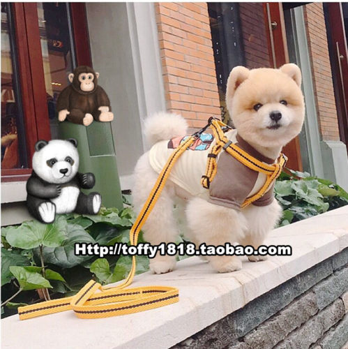 宠物猫狗链子大型犬牵引绳项圈