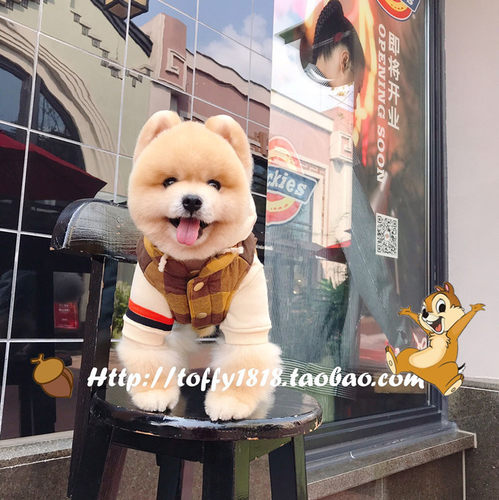 BEARTOFFYPET秋冬保暖夹棉马甲