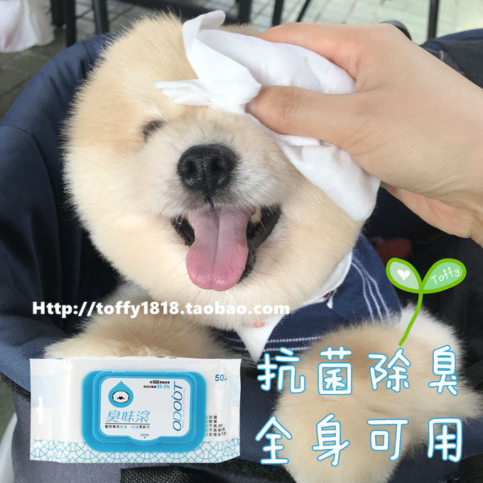 Bear toffy Pet臭味滚宠物清洁纸巾擦屁股擦脚湿巾杀菌除臭包邮