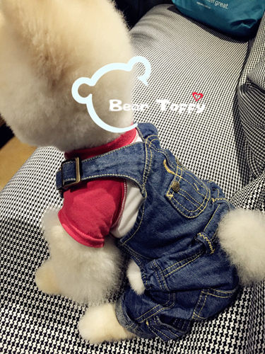 BEARTOFFYPET日单宠物衣服