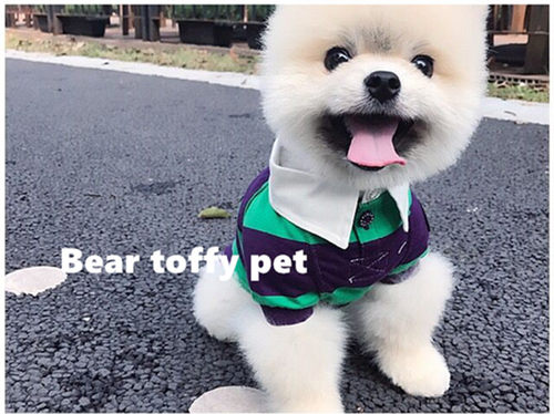 BEARTOFFYPET英伦绅士风衬衫