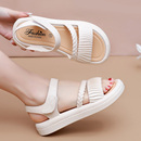 露趾编织带魔术贴舒适防滑休闲鞋 新款 女夏季 休闲厚底凉鞋 妈妈凉鞋