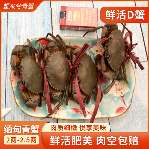 鲜活缅甸蟹特产孟加拉螃蟹青蟹胖哥俩肉蟹煲野生2斤8一10只包邮