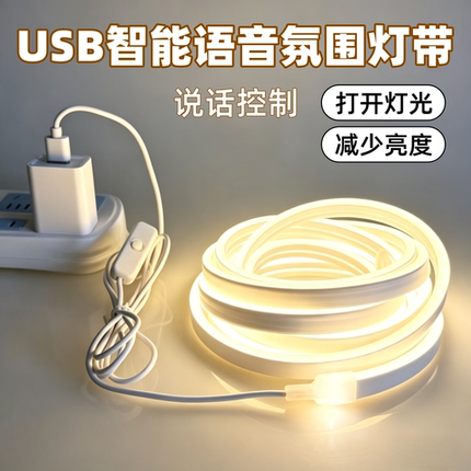 USB柔性硅胶软灯带5v调光遥控开关led化妆镜卧室语音床头氛围灯条