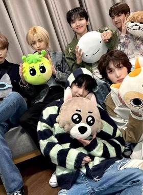 BOYNEXTDOOR 门童抱枕SUNGHO 明宰铉韩泰山 朴成淏 leehan大公仔