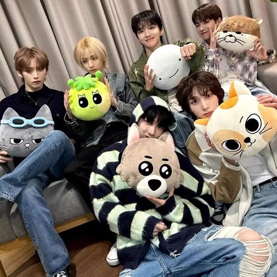 BOYNEXTDOOR 门童抱枕SUNGHO 明宰铉韩泰山 朴成淏 leehan大公仔