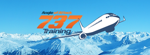 波音737 飞行培训 Angle of Attack AOA737教学