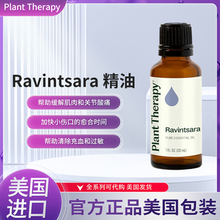 美国Plant Therapy Ravintsara精油活化缓解肌肉疼痛舒缓缓解压力