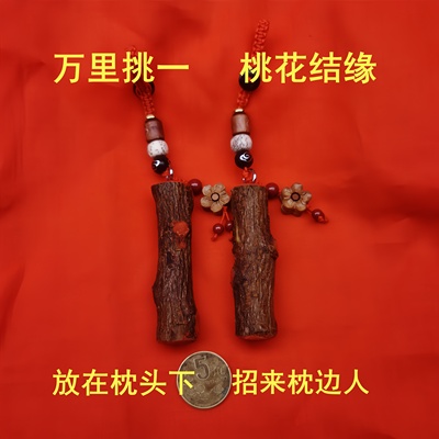 野生桃木东南枝桃花花瓣