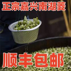 嘉兴特产南湖菱新鲜无角菱馄饨菱元宝菱角江浙沪皖顺丰包邮