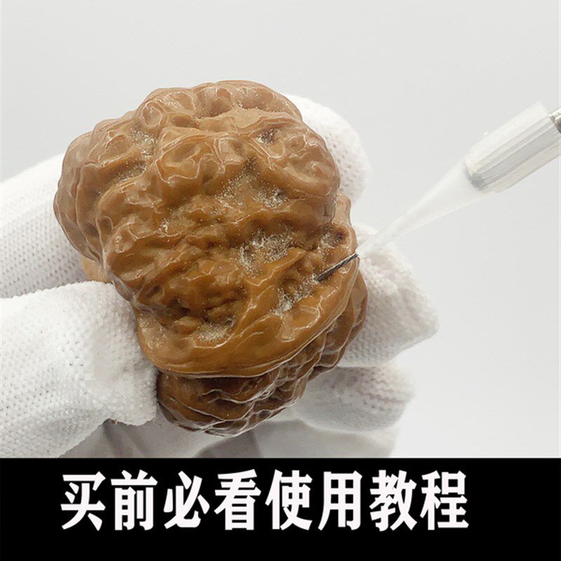 文玩电动清理工具碗型猪鬃毛刷头笔型核桃抛光纳米钢丝包浆上色刷
