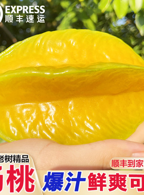 【顺丰】广东增城甜杨桃新鲜当季阳桃孕妇水果现摘现发5斤整箱