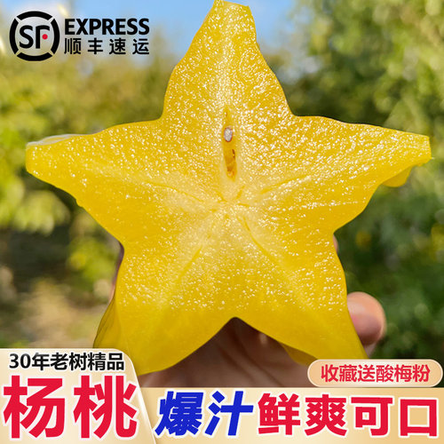福建漳州杨桃新鲜现摘整箱包邮