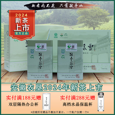 敬亭绿雪新茶高档礼盒装历史名茶