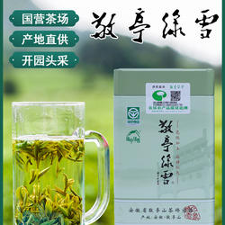 敬亭绿雪茶2025年新茶安徽绿茶宣城正宗群体种敬亭绿雪明前头采茶